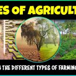 Different Types of Agriculture / Farming Methods