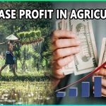 How to Increase Profit in Agriculture