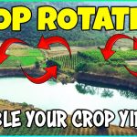 Crop Rotation: A Way To Boost Your Yields